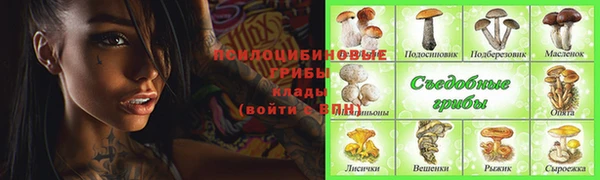 mdpv Верхний Тагил