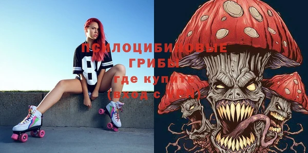 mdpv Верхний Тагил